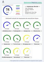 Lade das Bild in den Galerie-Viewer, Quantum Resonance Magnetic Analyzer DM-917 mit Software Version 2024 plus (Cloud, Autark)