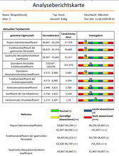 Lade das Bild in den Galerie-Viewer, PET-SCANNER - Gesundheitsanalyse für Hunde und Katzen