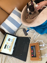 Lade das Bild in den Galerie-Viewer, PET-SCANNER - Gesundheitsanalyse für Hunde und Katzen