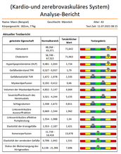 Lade das Bild in den Galerie-Viewer, Bio-Quantum Analyzer DM-918-C mit neuer Software Version 2024 plus (Cloud)