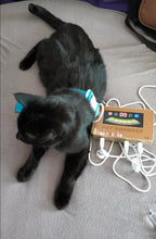 Lade das Bild in den Galerie-Viewer, PET-SCANNER - Gesundheitsanalyse für Hunde und Katzen