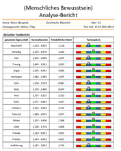 Lade das Bild in den Galerie-Viewer, Software Quanten Resonanz Magnetischer Analysator Version 2024 plus (Cloud, Autark) Deutsch