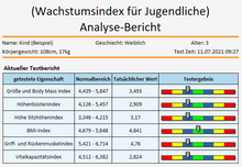 Lade das Bild in den Galerie-Viewer, Bio-Quantum Analyzer DM-918-C mit neuer Software Version 2024 plus (Cloud)